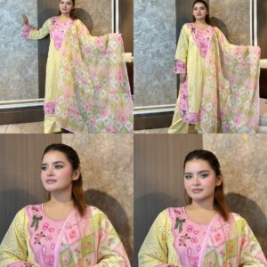 Elegant Chikankari & Boring Work Pure Cotton Collection (SR-14 Y)
